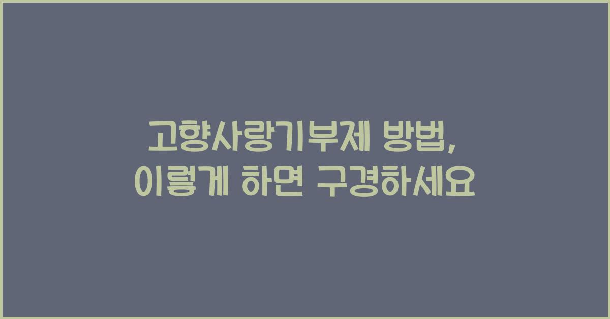 고향사랑기부제 방법