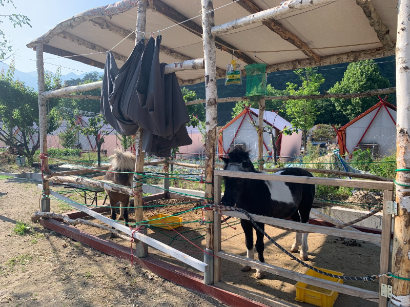 포천 아쿠아마린 글램핑