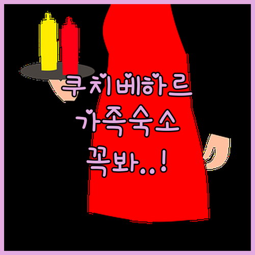 쿠치 베하르 호텔 실제 이용 후기와 ..