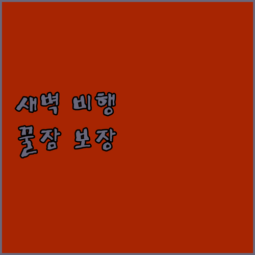 새벽 비행 걱정 끝! 과룰류스 공항 ..