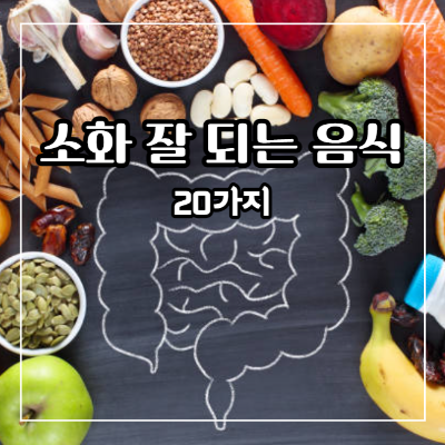 소화 잘 되는 음식 20가지