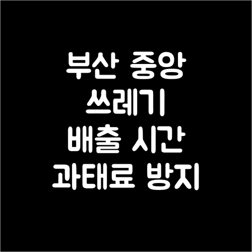 부산 중구 중앙동 쓰레기 배출 시간!..