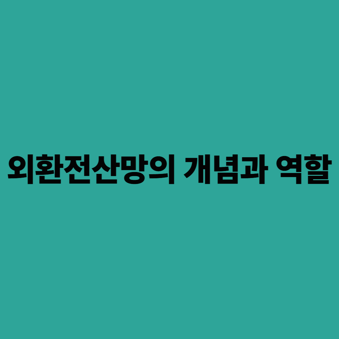 외환전산망의 개념과 역할