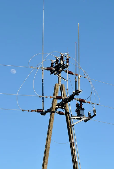 비트버니 오늘의 상식 퀴즈 정답 공개