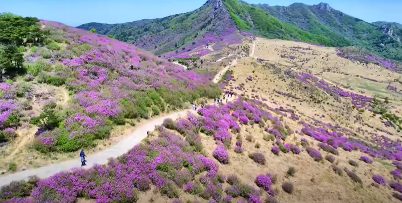 산청군황매산등산코스-3/4코스