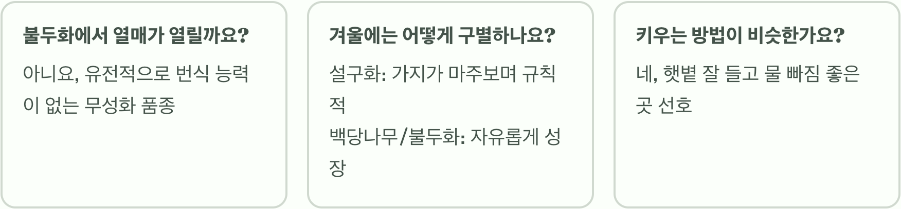 설구화 vs 불두화 vs 백당나무, 이제 그만 헷갈리세요! (완벽 비교)