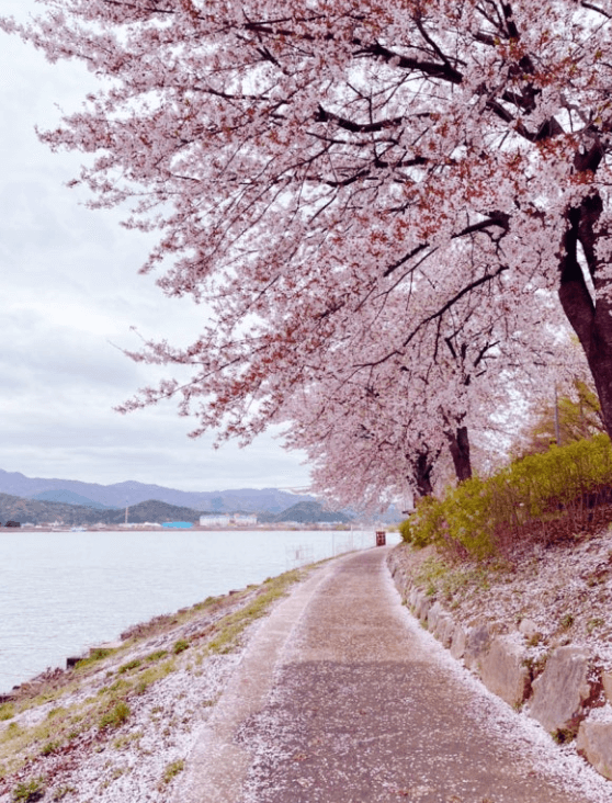 춘천 공지천 공원