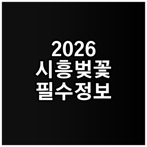 2026년 경기 시흥 벚꽃 만개 시기..