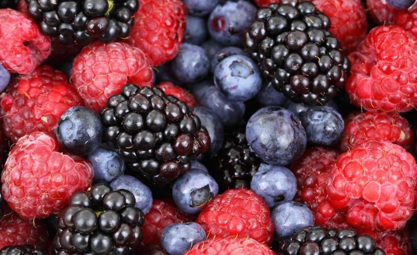 잘익은 오디 이미지