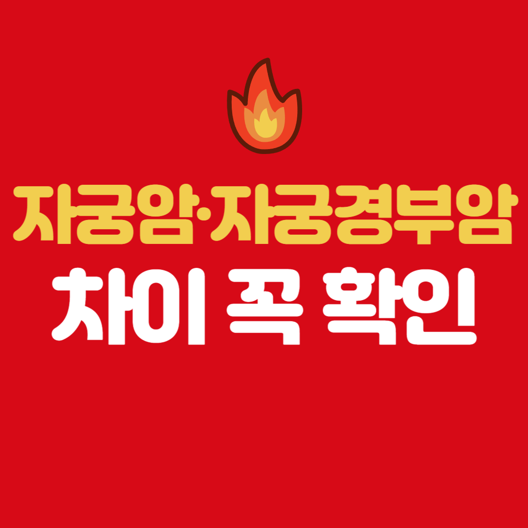 자궁암 vs 자궁경부암 차이|혼동 쉬운 두 질환 완전정리