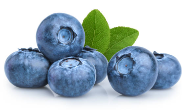블루베리