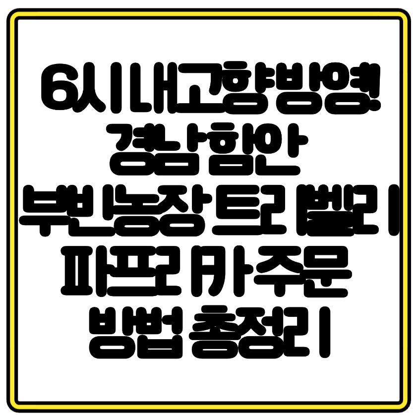 6시 내고향 방영! 경남 함안 부빈농장 트리벨리 파프리카 주문 방법 총정리