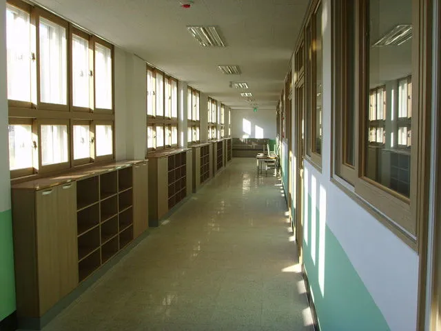 IB(International Baccalaureate)