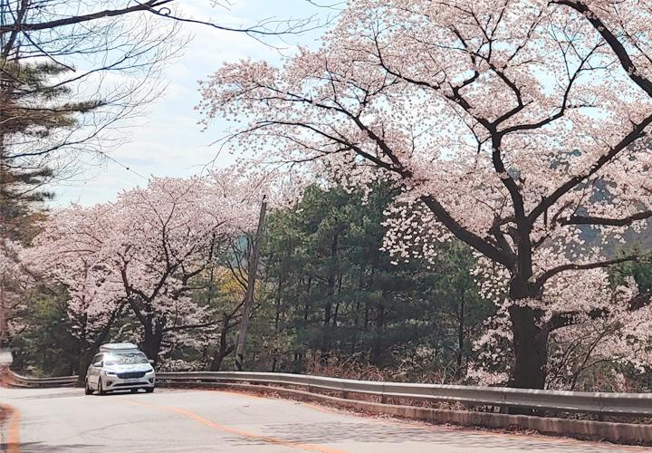 인왕산 길