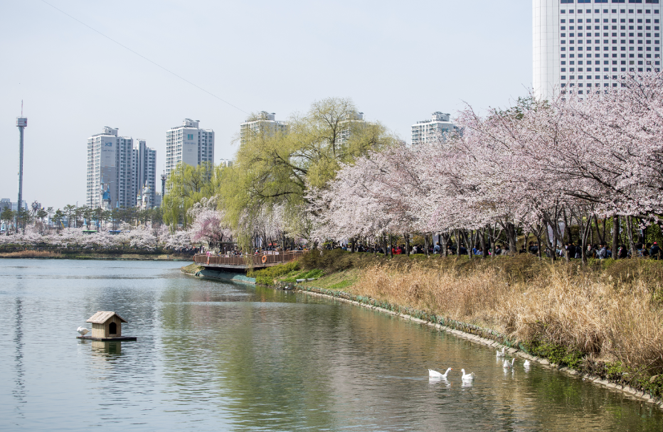 석촌호수 이미지