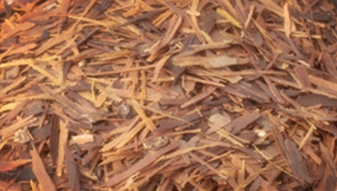 타히보 효능, 제품 고르는 방법 및 복용방법을 알아봤는데요~ 타히보는 조금 생소할 수 있는데 이미 국내에서도 많은 연구를 진행하고 있어요. '신의 은총을 받은 나무' 라고 할 정도로 뛰어난 효능이 있는데 어떤 것들이 있는지 확인해 보시기 바래요~ 주의사항과 부작용도 확인하세요~