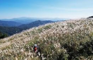 지리산 국립공원 탐방지원센터