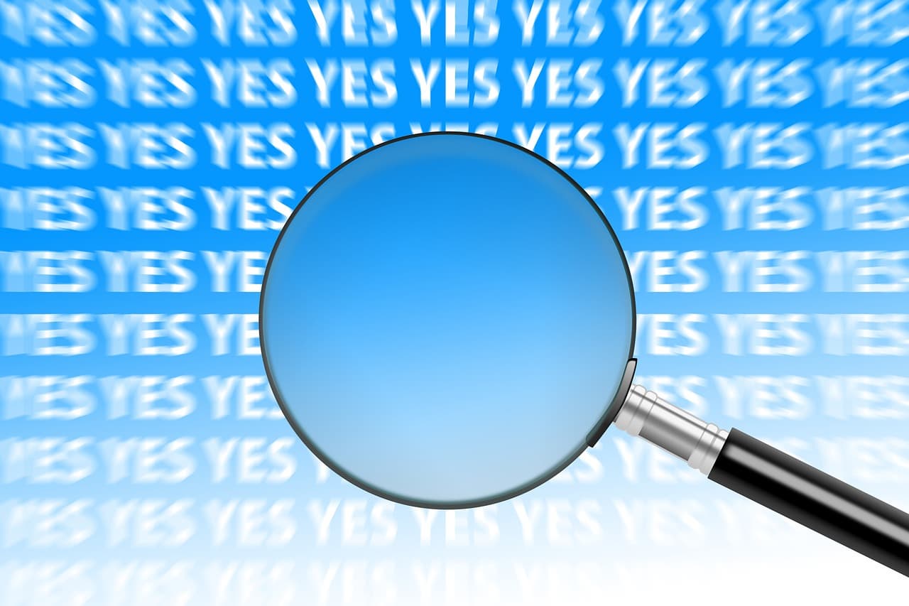 브랜드 제품 vs 저렴한 제품 비교