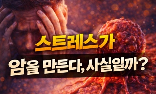 스트레스와 암의 관계는?