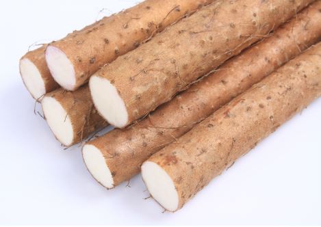 위염에 좋은 음식