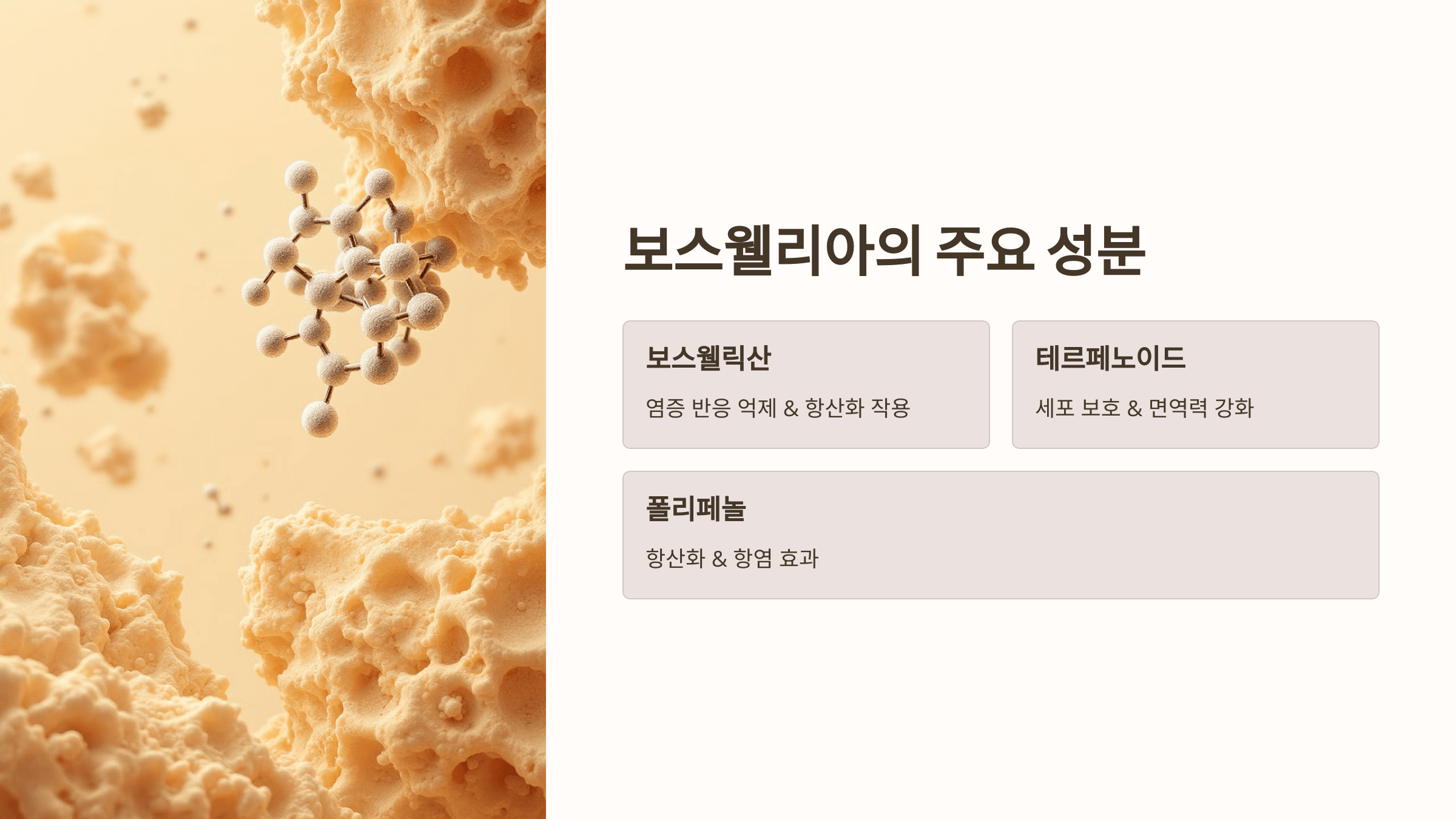 보스웰리아와 관련된 사진입니다.