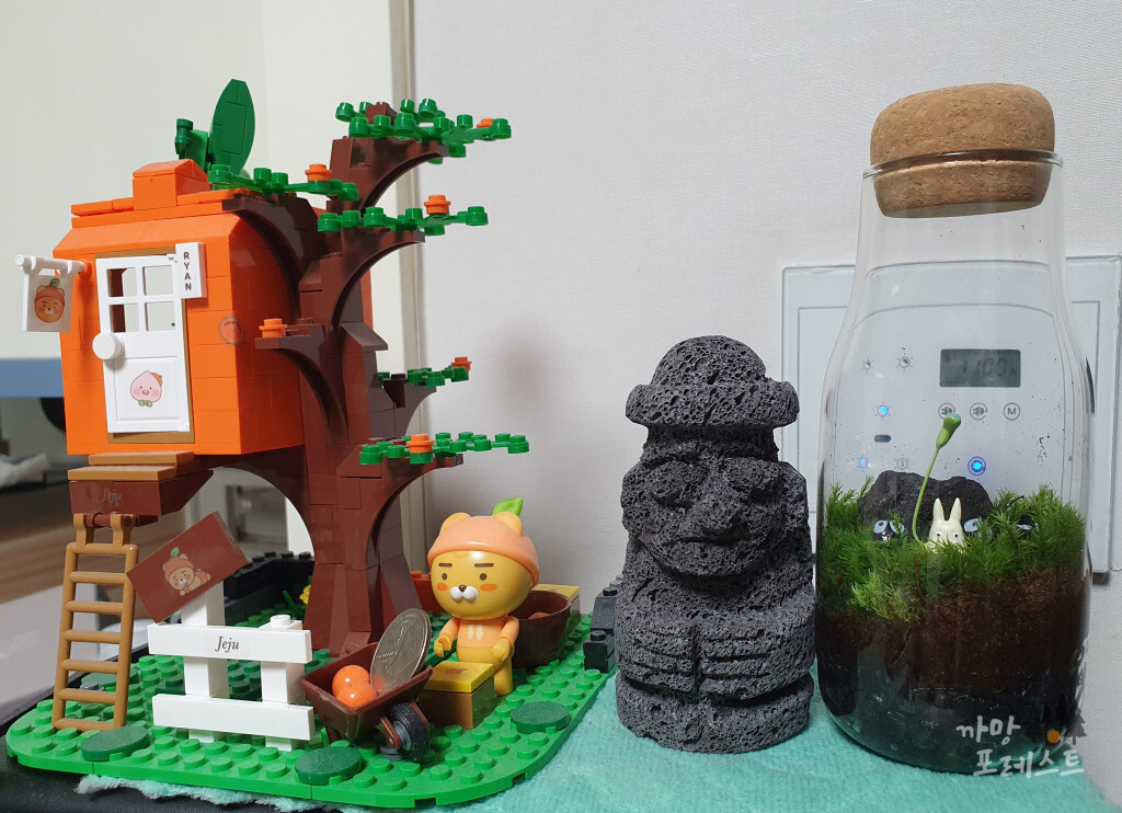 테라리움 꾸미기