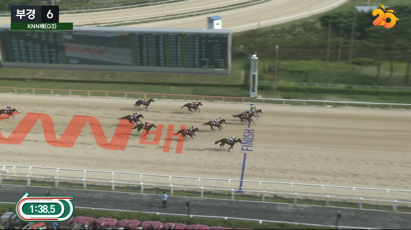 KNN배 대상경주 결승선을 통과하는 경주마들