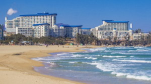 2024 강원도 해수욕장 개장일 추천 BEST 7