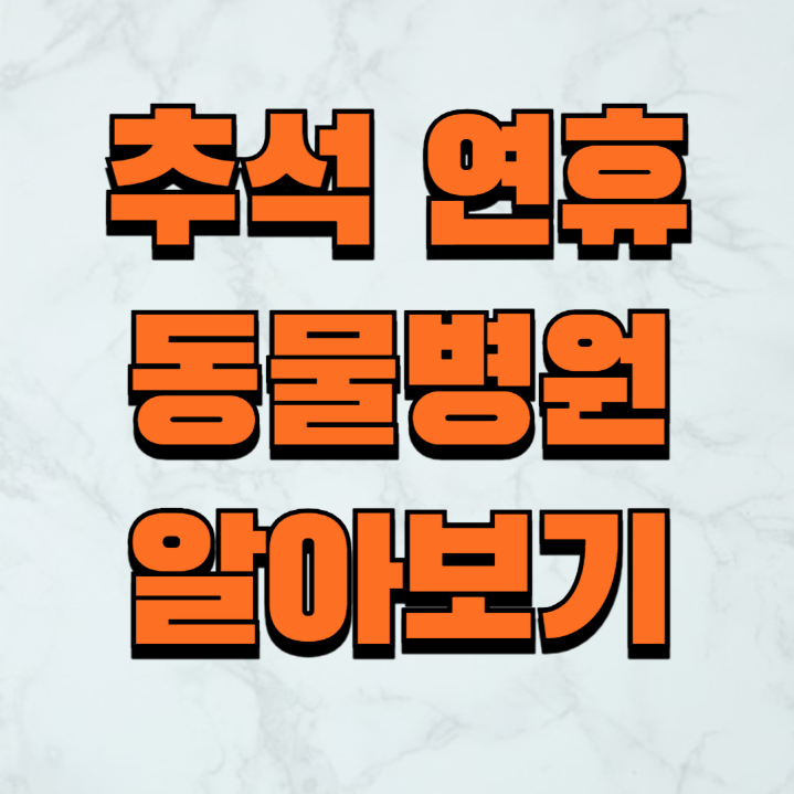 추석 연휴 24시동물병원 실시간정보 가까운위치