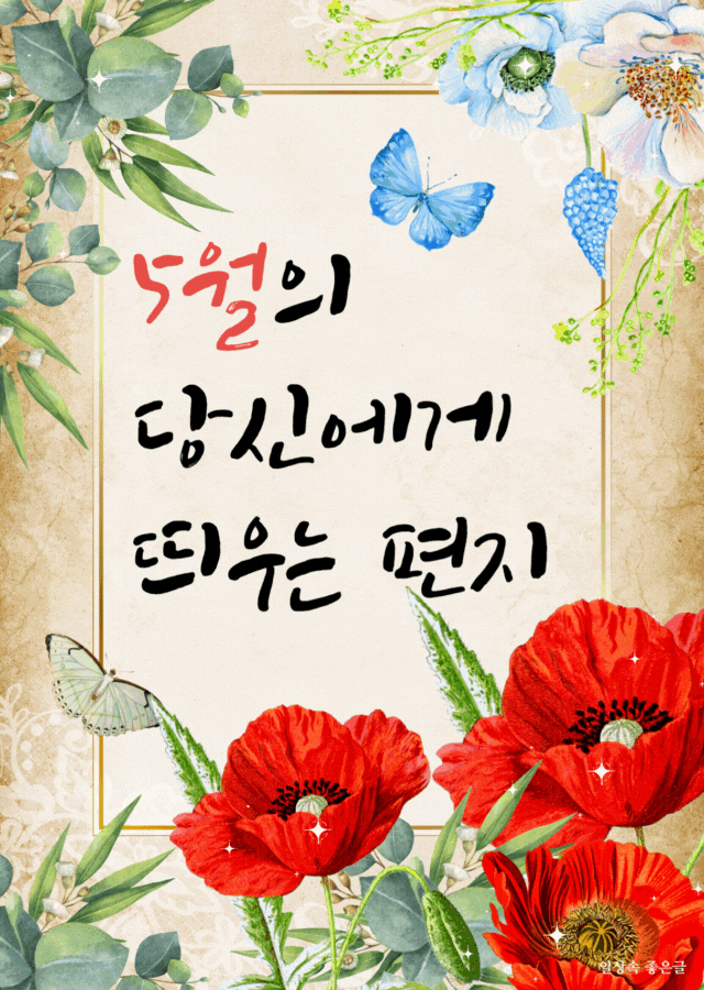 꽃과 나비, 5월의 편지라는 감성적인 글귀가 담긴 인사말 이미지