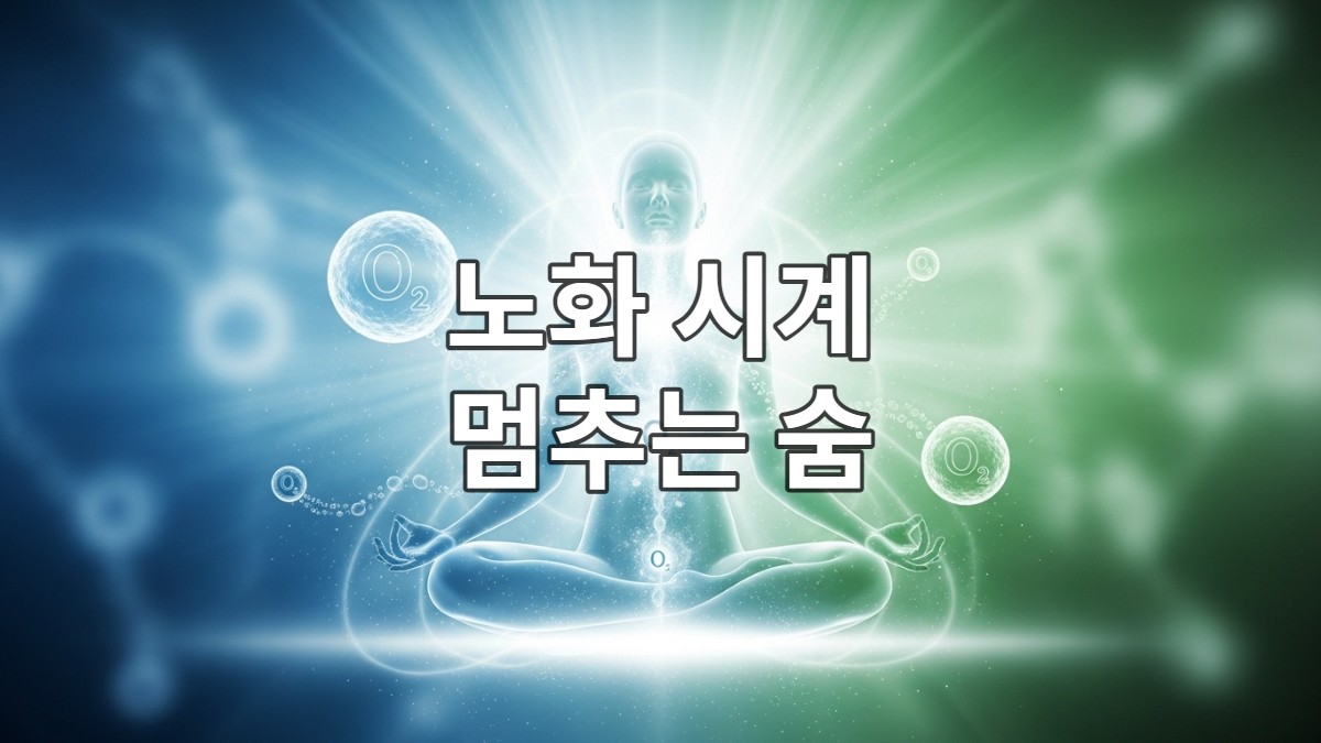 차분하게 명상하며 깊은 호흡을 하는 사람의 모습. 주변에는 세포의 활력을 상징하는 빛과 산소 분자들이 맴돌고 있으며, 평화롭고 생기 넘치는 분위기가 노화 방지 호흡의 중요성을 강조합니다.