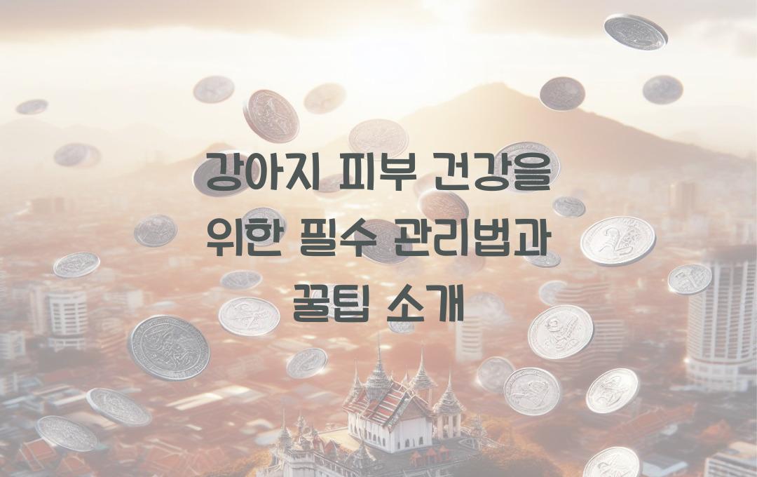 강아지 피부 건강을 위한 필수 관리법