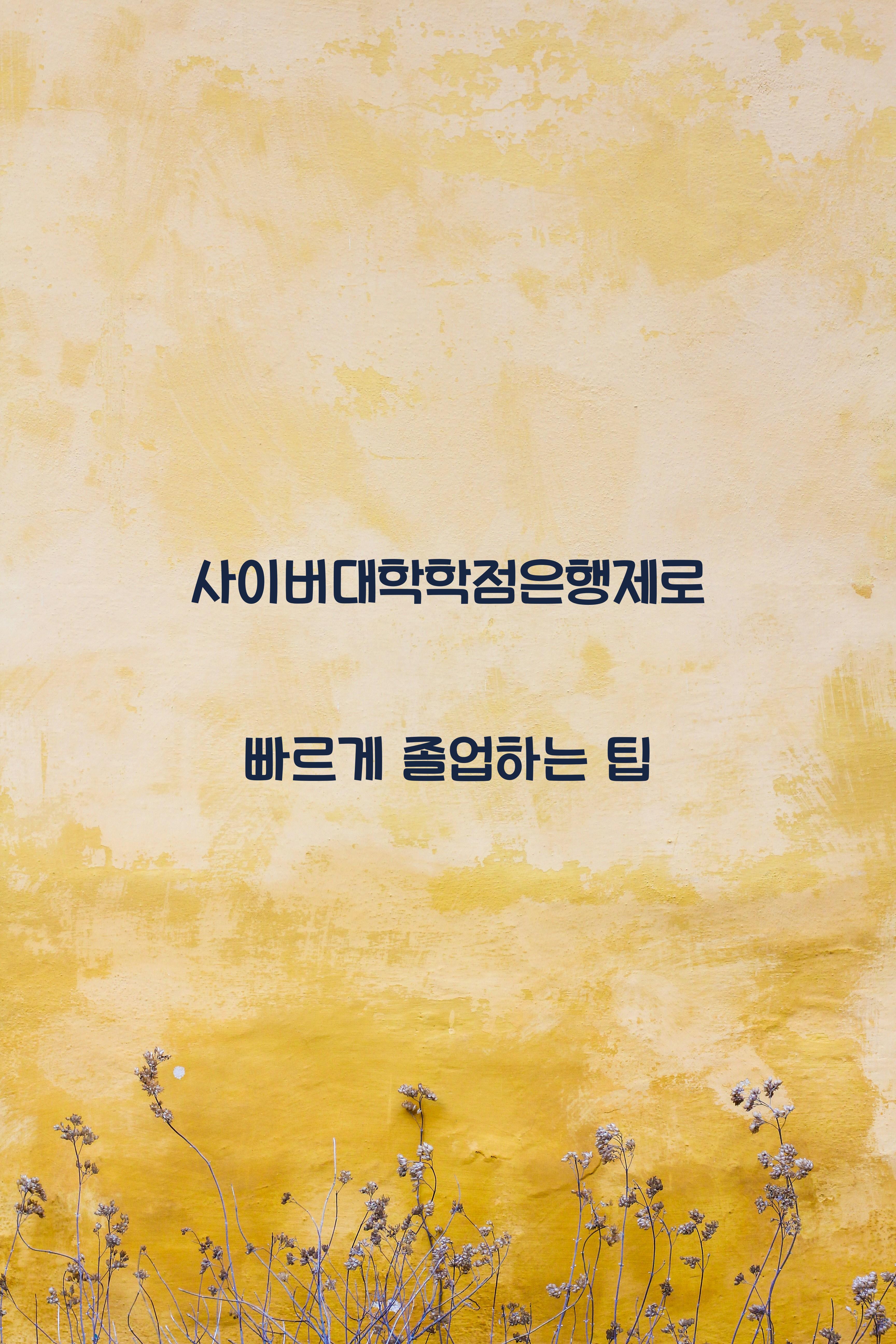 사이버대학학점은행제