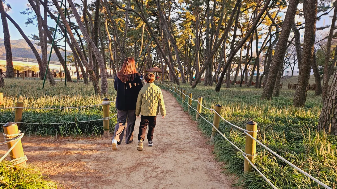 밀양 맥문동 맨발걷기