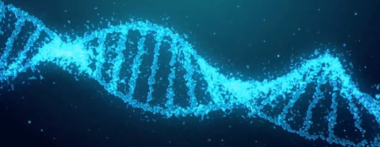 DNA