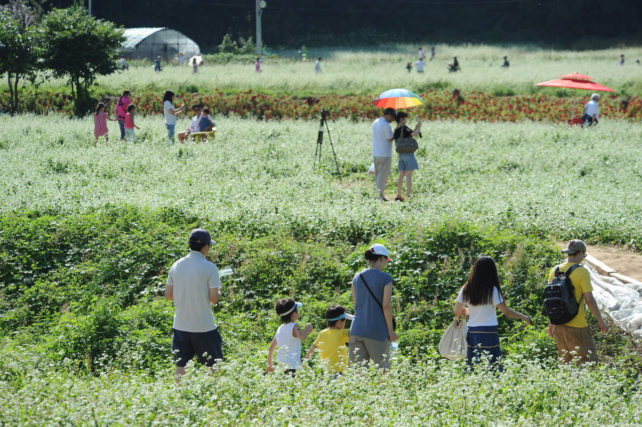평창 효석문화제 자연과 예술의 만남