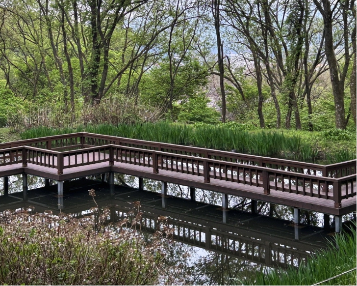 용인자연휴양림