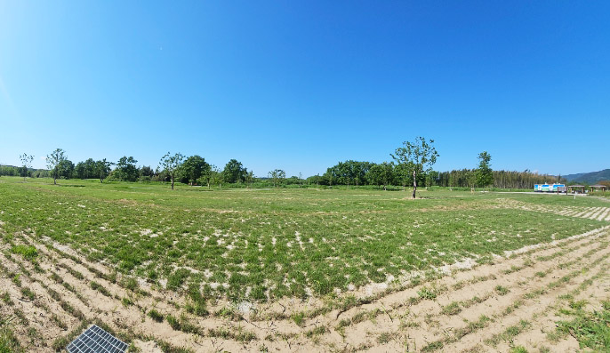 친수생태공원 와룡지구파크골프장