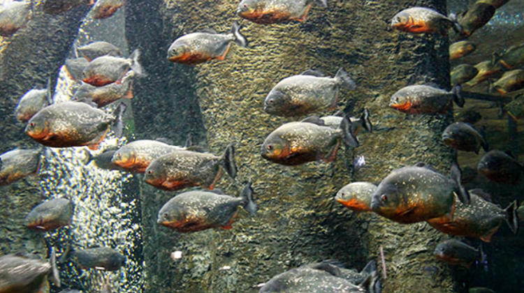 여수 아쿠아리움