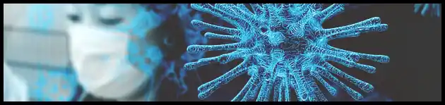 백일해 예방접종 가격 및 시기