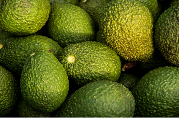 아보카도 보관법 먹는 법