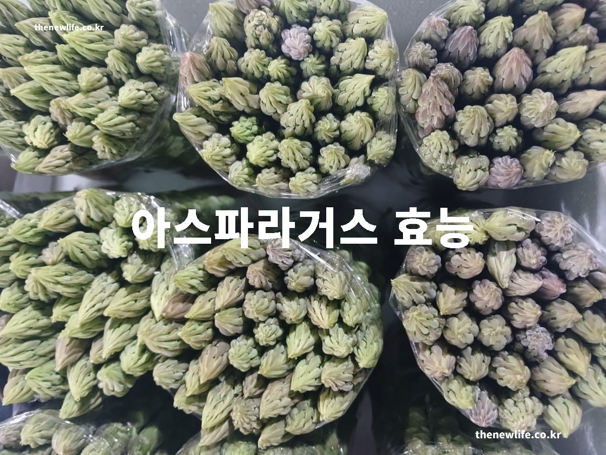 아스파라거스 효능 대표 실사진