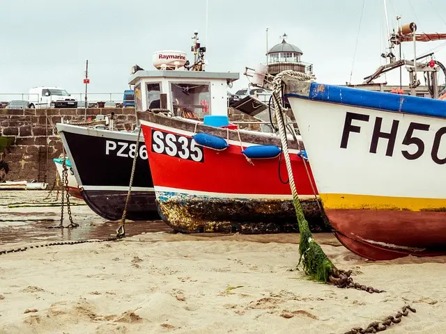 농어촌 기본소득 시범사업 지역 선정
