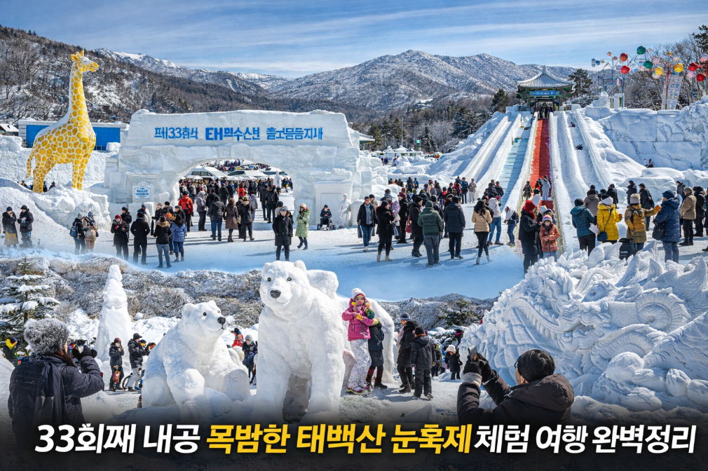 여기가 진짜 겨울 왕국, 태백산 눈축제 33회 아이들과 다녀온 찐 후기