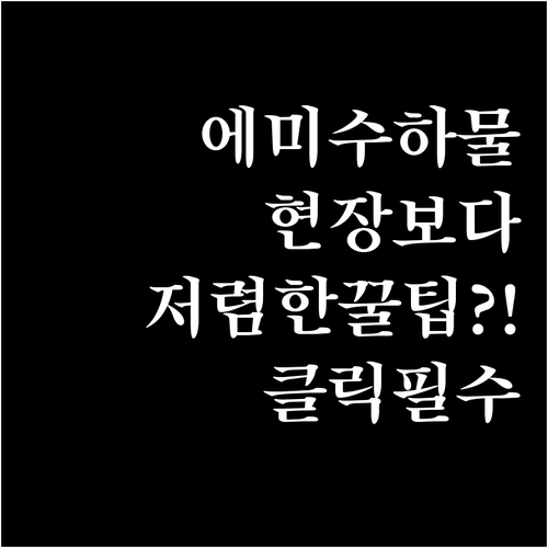 에미레이트 수하물 추가 구매 현장보다..