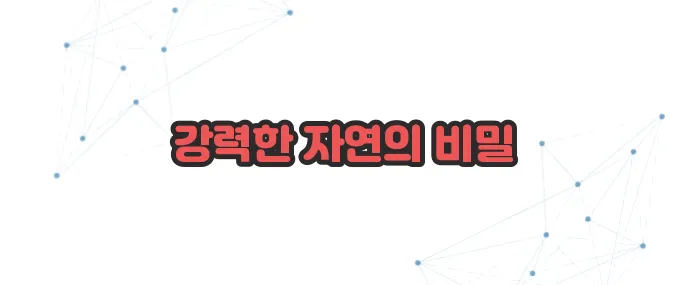 산수유 효능 이보다 자세히 설명할순없다