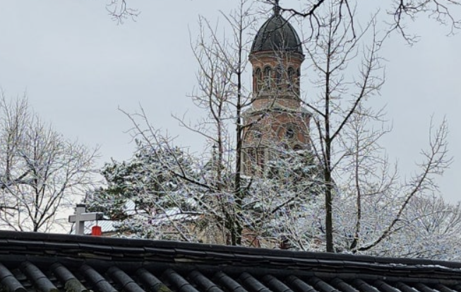 전주-벚꽃-명소