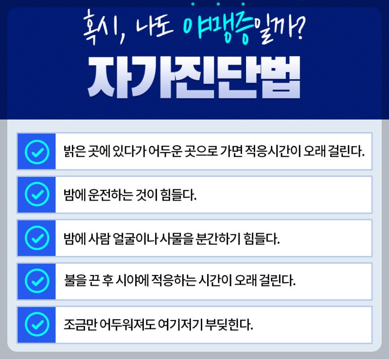 야맹증진단