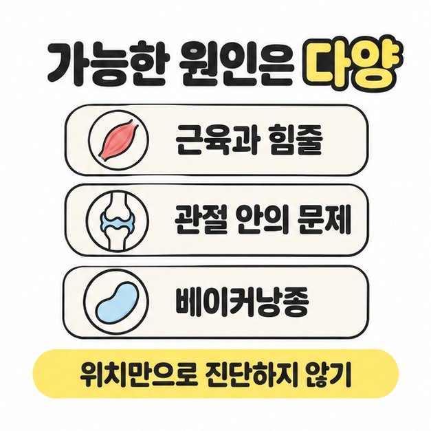 근육과 힘줄 및 관절 안의 문제와 베이커낭종을 각각 작은 그림과 함께 나열하고 위치만으로 진단하지 않도록 안내한 카드