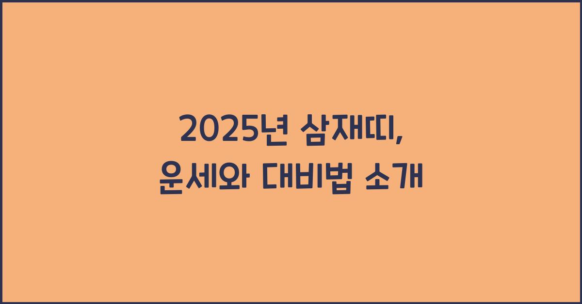 2025년 삼재띠